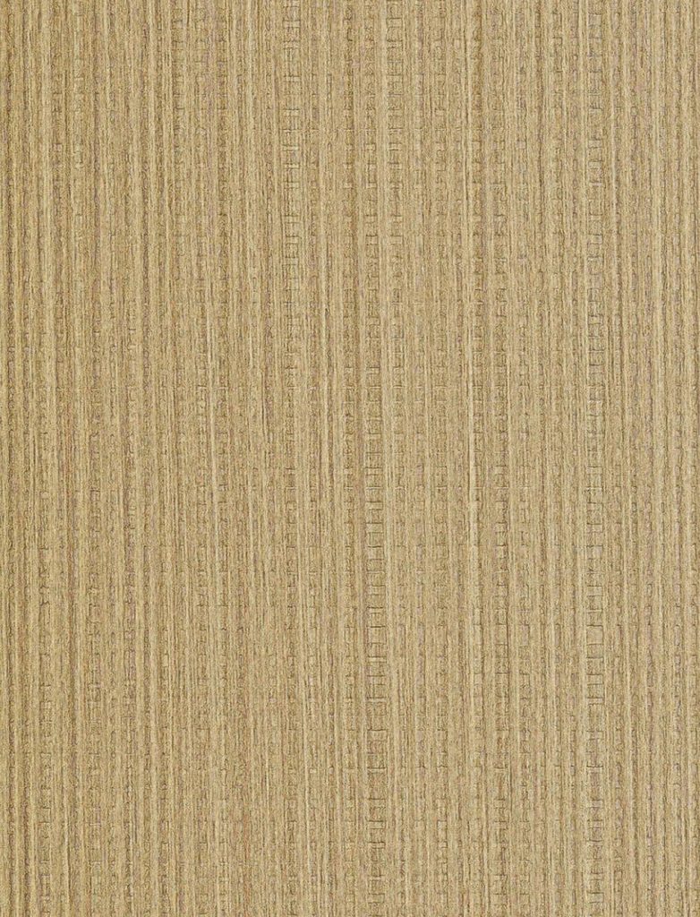 VTK010A
